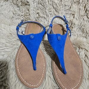 Sam Edelman Circus Vibrant Blue Women's Sandals